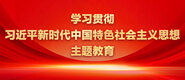 插我逼一级网站学习贯彻习近平新时代中国特色社会主义思想主题教育_fororder_ad-371X160(2)